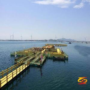 Talking about the pedal of marine breeding that plays a key role in marine breeding Talking about the pedal of marine breeding that plays a key role in marine breeding